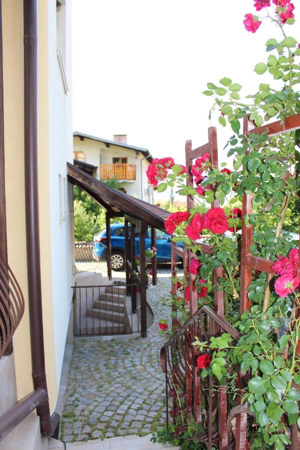 Hotel Radi Szapareva Banja Kültér fotó
